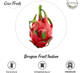 Dragon Fruit Indian 1Pc