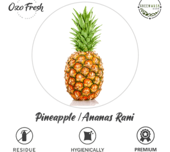 Pineapple/ Ananas Rani 1pc