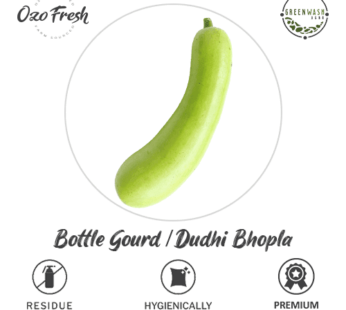 OF Bottle Gourd/ Dudhi Bhopla 1Pc