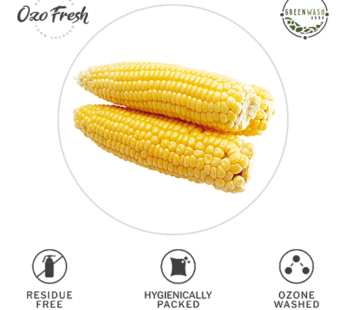Sweet Corn/ God Makka 1Pc