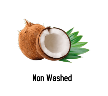 Coconut/ Naral 1Pc