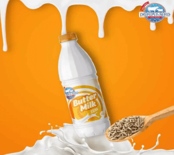 Jeera Butter Milk 500ml – Punjab Sind