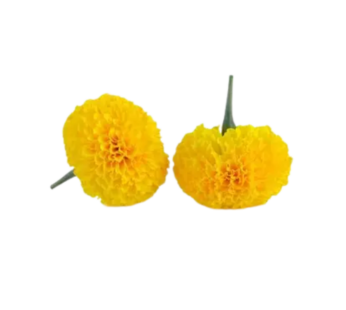 Marigold Flower Yellow 250g -SK