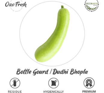 Bottle Gourd/ Dudhi Bhopla Small 1Pc